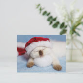 Siamese Kitten: Holiday Napping Feestdagenkaart (Staand voorkant)