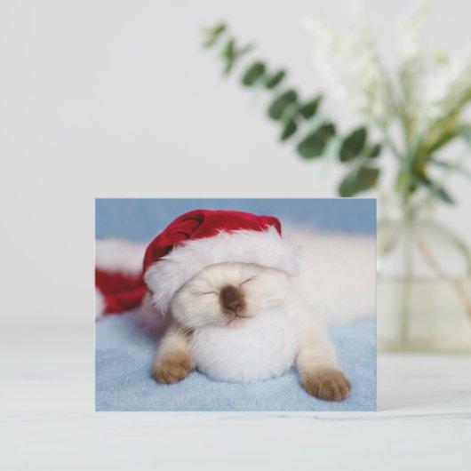 Siamese Kitten: Holiday Napping Feestdagenkaart (Staand voorkant)