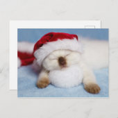 Siamese Kitten: Holiday Napping Feestdagenkaart (Voorkant / Achterkant)