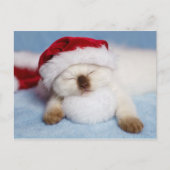 Siamese Kitten: Holiday Napping Feestdagenkaart (Voorkant)