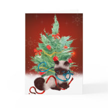 Siamese Kitten Kaart voor kerstmis