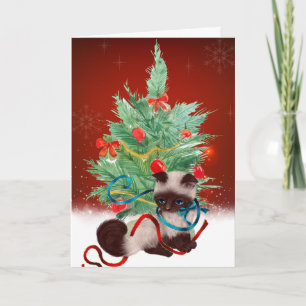Siamese Kitten Kaart voor kerstmis