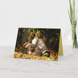 Siamese Kitten Kat Cute Aanpasbare Kaart