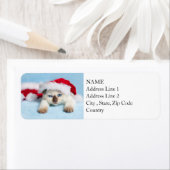 Siamese Kitten: kerstKat Etiket (Insitu)