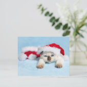 Siamese Kitten: kerstKat Feestdagenkaart (Staand voorkant)