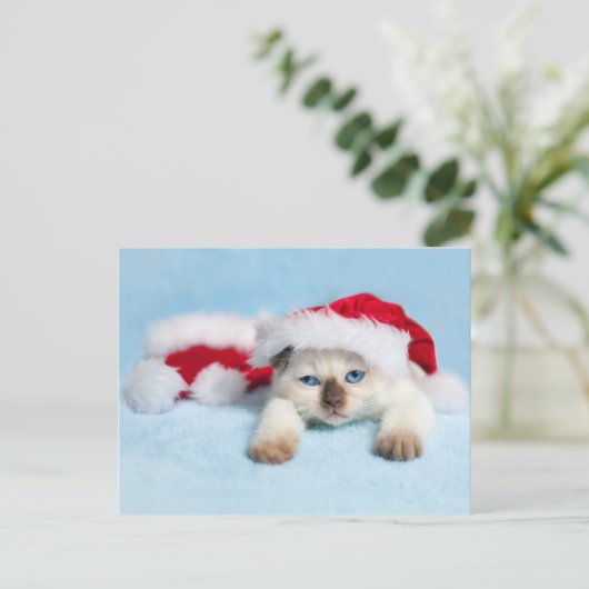 Siamese Kitten: kerstKat Feestdagenkaart (Staand voorkant)