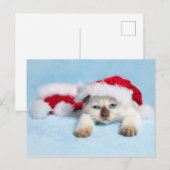 Siamese Kitten: kerstKat Feestdagenkaart (Voorkant / Achterkant)