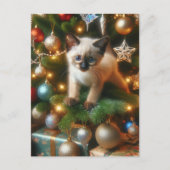 Siamese Kitten Kerstmis Briefkaart (Voorkant)
