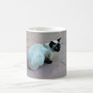 Siamese kitten koffiemok