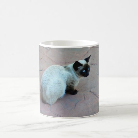 Siamese kitten koffiemok (Center)