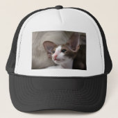 Siamese Kitten met grote oren Trucker Pet (Voorkant)