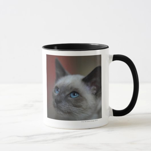Siamese kitten mok (Rechts)
