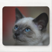Siamese kitten muismat (Voorkant)