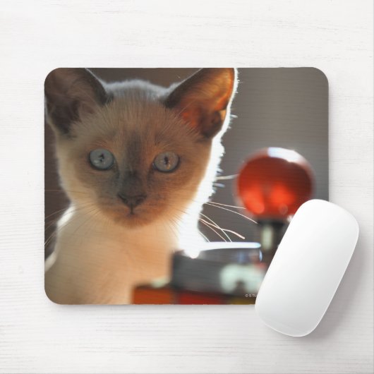 Siamese kitten muismat (Met muis)