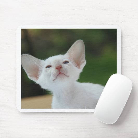 Siamese kitten muismat (Met muis)