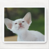 Siamese kitten muismat (Voorkant)