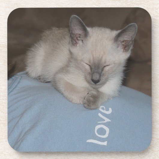 Siamese kitten onderzetter (Voorkant)
