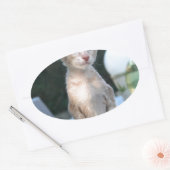 Siamese Kitten op tafel Ovale Sticker (Envelop)