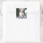 Siamese Kitten op tafel Vierkante Sticker (Tas)