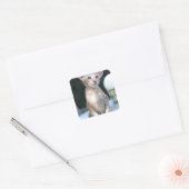 Siamese Kitten op tafel Vierkante Sticker (Envelop)