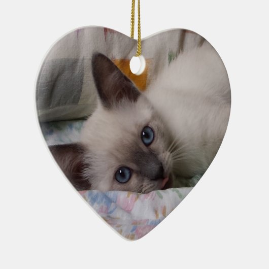 Siamese Kitten Ornament (Rechts)