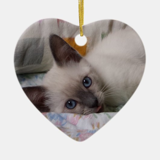 Siamese Kitten Ornament (Voorkant)
