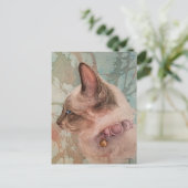Siamese Kitten Pink Collar Waterverf Art Briefkaar Briefkaart (Staand voorkant)