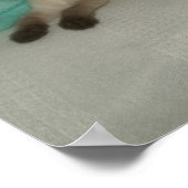 Siamese kitten poster (Hoek)