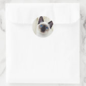 Siamese Kitten Ronde Sticker (Tas)