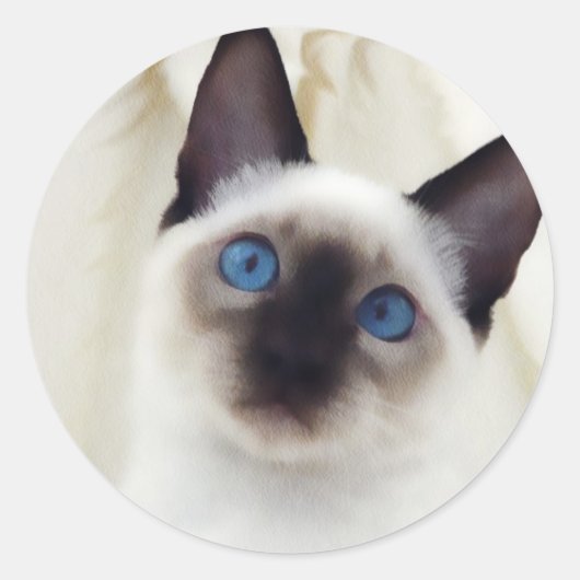 Siamese Kitten Ronde Sticker (Voorkant)