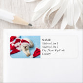 Siamese Kitten: Santa Hats Etiket (Insitu)