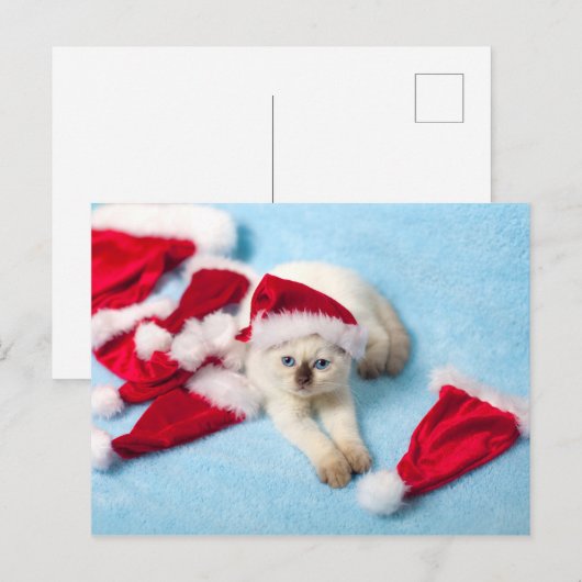 Siamese Kitten: Santa Hats Feestdagenkaart (Voorkant / Achterkant)