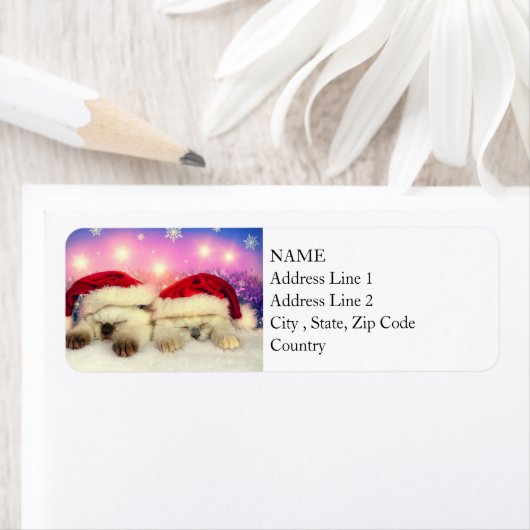 Siamese Kitten: Santa Twinsies Etiket (Insitu)