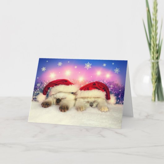 Siamese Kitten: Santa Twinsies Feestdagen Kaart (Voorkant)