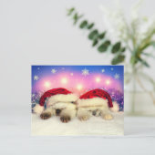 Siamese Kitten: Santa Twinsies Feestdagenkaart (Staand voorkant)