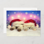 Siamese Kitten: Santa Twinsies Feestdagenkaart (Voorkant / Achterkant)