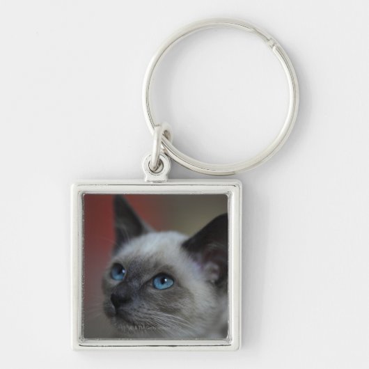 Siamese kitten sleutelhanger (Voorkant)