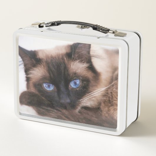 Siamese Kitten Sweetie Face (Achterkant)