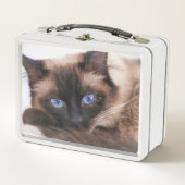 Siamese Kitten Sweetie Face (Voorkant)