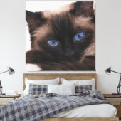Siamese Kitten Sweetie Face Canvas Afdruk (Insitu (Slaapkamer))