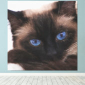 Siamese Kitten Sweetie Face Canvas Afdruk (Insitu (Houten vloer))