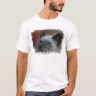Siamese kitten t-shirt