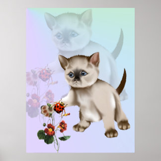 Siamese Kitten VS Ladybug Poster