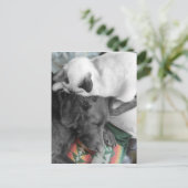 Siamese Kitten woont liefdevol op het hoofd van La Briefkaart (Staand voorkant)