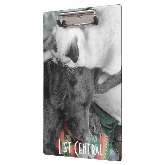 Siamese Kitten woont liefdevol op het hoofd van La Klembord (Links)