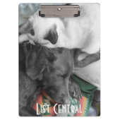 Siamese Kitten woont liefdevol op het hoofd van La Klembord (Voorkant)