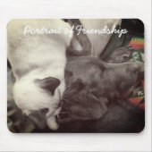 Siamese Kitten woont liefdevol op het hoofd van La Muismat (Voorkant)