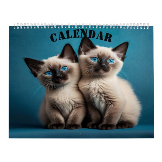 Siamese Kittens Kalender (Hoes)