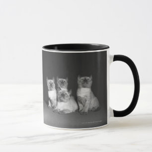Siamese kittens kijken naar B&W Mok