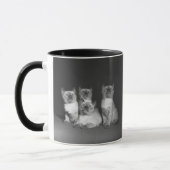 Siamese kittens kijken naar B&W Mok (Links)